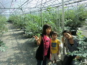 20100718002.jpg