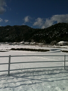 20110131001.jpg